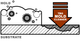 Mold Diagram